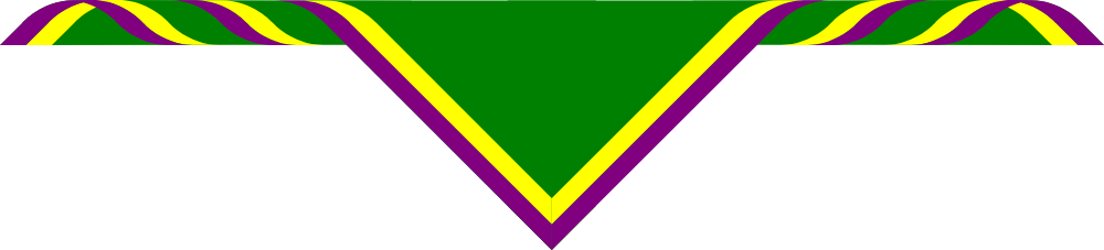 100th Coventry Adult Size Scarves, pack of 10 (delivery about 2 weeks) Emerald Green with 2 1' Borders. outside Purple inside Lemon