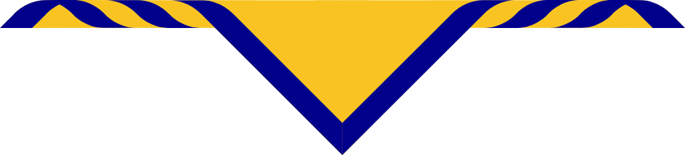 10th Coventry Youth Size Scarves, pack of 10 (delivery about 2 weeks) Gold with a 1' Royal Blue Border.