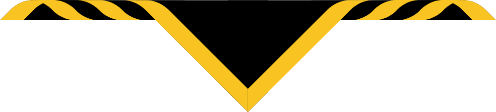 13th Coventry Youth Size Scarves, pack of 10 (delivery about 2 weeks) Black with 1' Gold Border