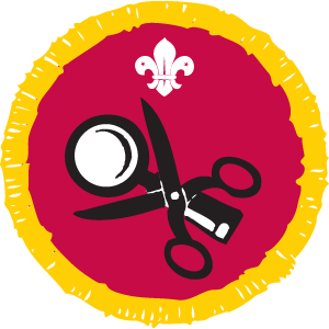 Cub Scout Collector Activity Badge Not Sponsored OLD FDL