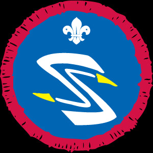 Scout Air Spotter Activity Badge OLD FDL