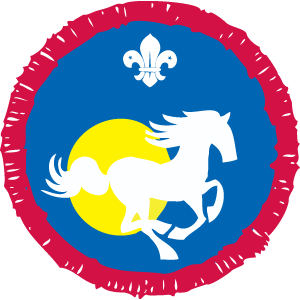 Scout Equestrian Activity Badge OLD FDL