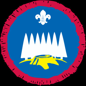 Scout Forester Activity Badge OLD FDL