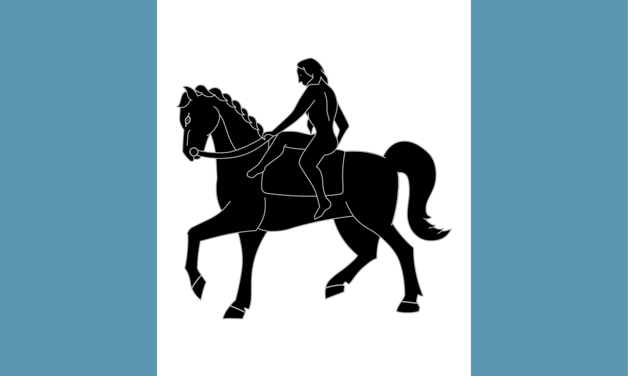 Coventry City of Culture Medium Hand Flag 9'x 6'