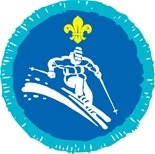 Explorer Scout Skiing Activity Badge (Discontinued) OLD FDL