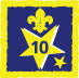 Participation or Joining in Badge, Star. 10 Year, OLD FDL