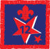 Participation or Joining in Badge, Star. 12 Year, OLD FDL