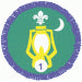 Nights Away Staged Activity Badge 1 Night, not sponsored OLD FDL