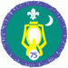 Nights Away Staged Activity Badge 75 Nights, not sponsored OLD FDL