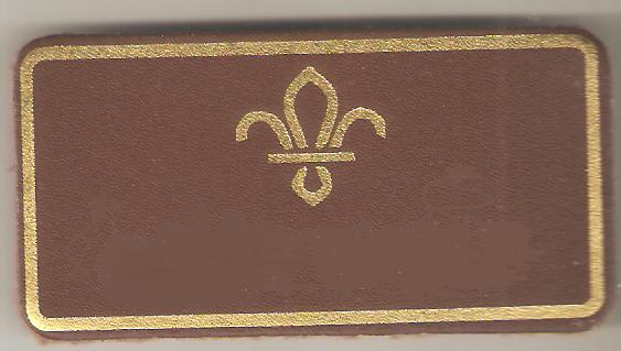 Custom, Scouts Leather Name Badge, Tan. Choose your own Name. Please allow up to 4 weeks delivery depending on the time of year