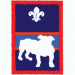 Patrol Badge Bulldog OLD FDL