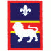 Patrol Badge Lion OLD FDL
