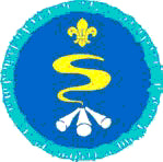Explorer Scout Survival Skills Activity Badge OLD FDL