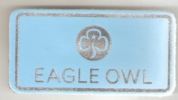 Eagle Owl, Guiders Leather Name Badge, Sky Blue