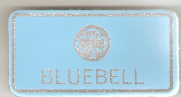 Bluebell, Guiders Leather Name Badge, Sky Blue