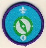 Navigator Activity Badge Stage 4 OLD FDL