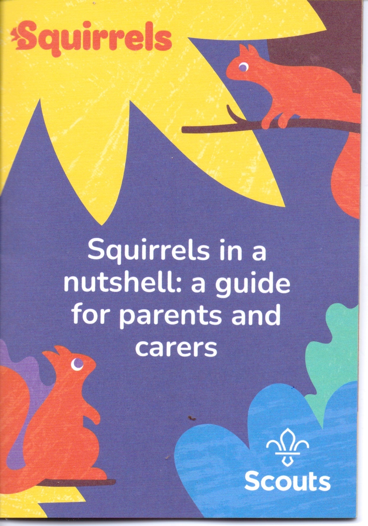 Parents Guide for Squirrels