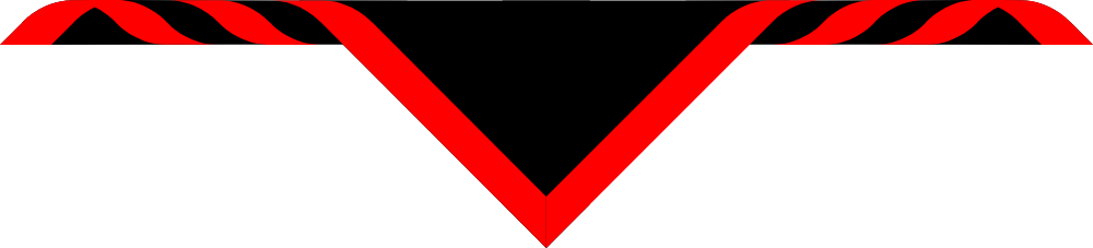 2nd Coventry Adult Size Scarves, pack of 10 (delivery about 2 weeks) Black bordered Scarlet, 1'.