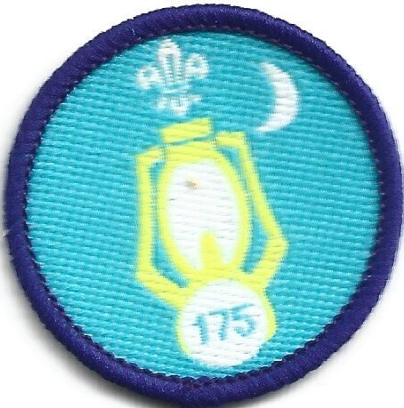 Nights Away Staged Activity Badge 175 Nights, not sponsored OLD FDL