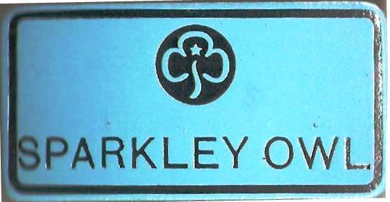 Sparkley Owl, Guiders Leather Name Badge, Sky Blue