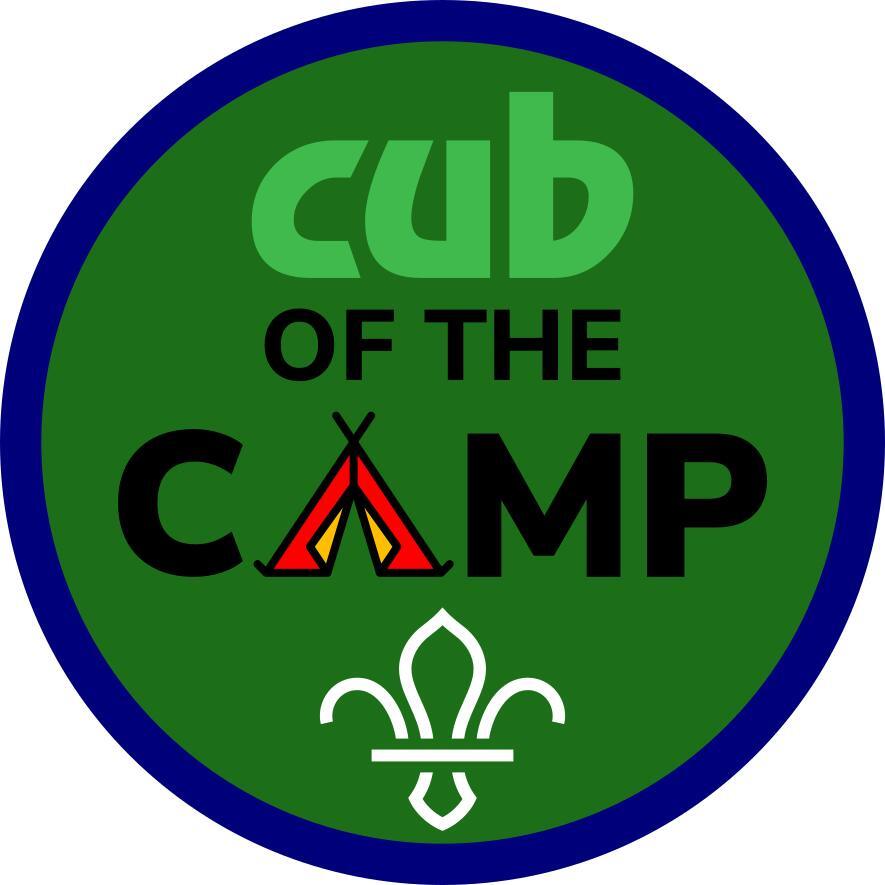 Cub of the Camp fun badge