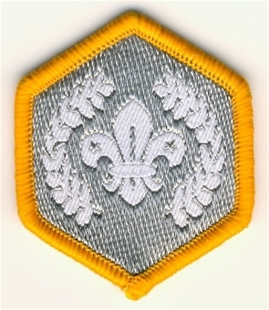 Cub Chief Scouts Silver Award Cloth Badge OLD FDL