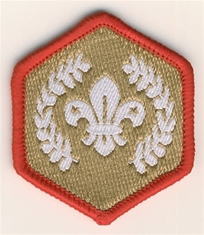 Scout Chief Scouts Gold Award Cloth Badge, OLD FDL
