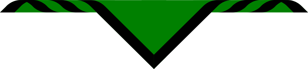 3rd Coventry Youth Size Scarves, pack of 10 (delivery about 2 weeks) Scout Green bordered Black, 1'.