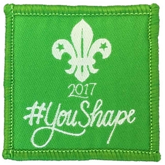 YouShape badge, Adults and Network 2017 5cm square