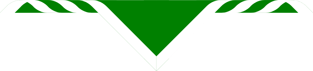 47th Coventry Youth Size Scarves, pack of 10 (delivery about 2 weeks) Scout Green with a 1' White Border.