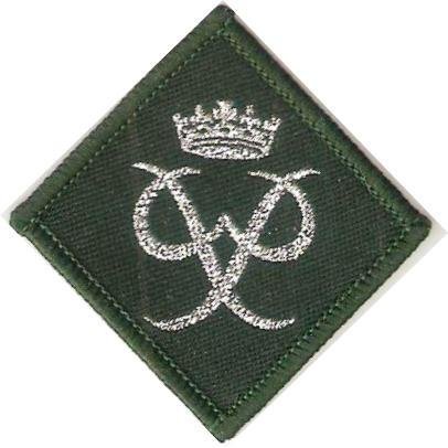 Duke of Edinburgh Silver Award Cloth Badge
