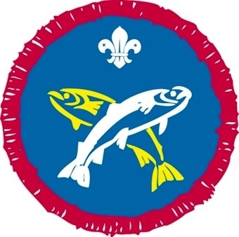 Scout Angler Activity Badge not sponsored OLD FDL