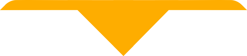 55th Coventry Youth Size Scarves, pack of 10 (delivery about 2 weeks) Gold,Plain