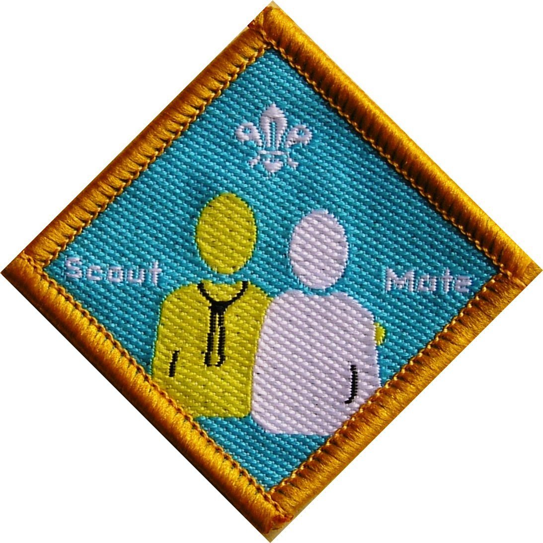 Scout Mate Gold Badge, for recruiting Adult members