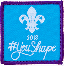 YouShape badge, Adults and Network 2018 5cm square