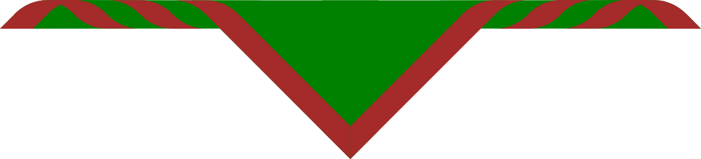 70th Coventry Adult Size Scarves, pack of 10 (delivery about 2 weeks) Emerald Green with a 1' Brown Border.