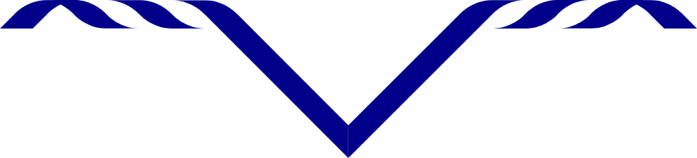 82nd Coventry Adult Size Scarves, pack of 10 (delivery about 2 weeks) White with a 1' Royal Blue Border.