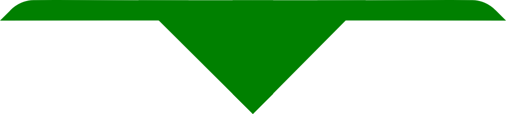 Bablake District Explorers Adult Size Scarves, Plain Scout Green, pack of 10