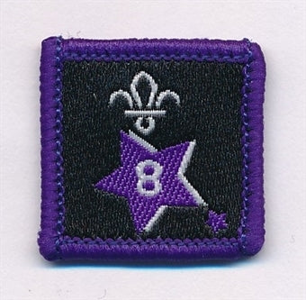 Participation or Joining in Badge, Star. 8 Year