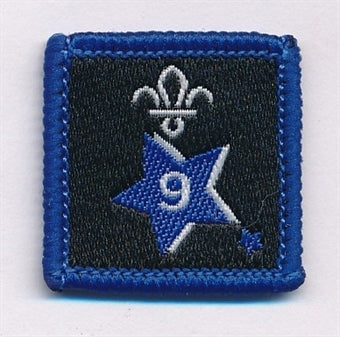 Participation or Joining in Badge, Star. 9 Year