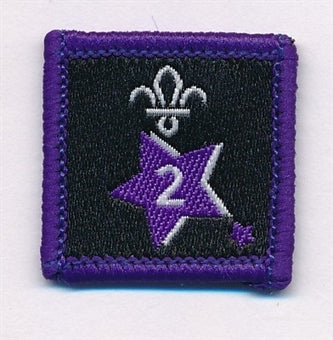 Participation or Joining in Badge, Star. 2 Year