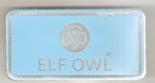 Elf Owl, Guiders Leather Name Badge, Sky Blue