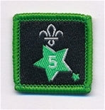 Participation or Joining in Badge, Star. 5 Year