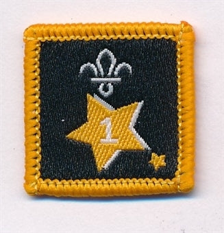 Participation or Joining in Badge, Star. 1 Year