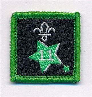 Participation or Joining in Badge, Star. 11 Year