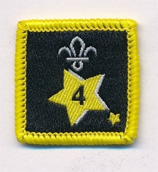 Participation or Joining in Badge, Star. 4 Year