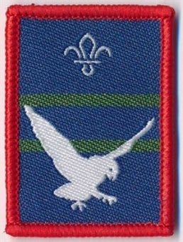 Patrol Badge Kestrel