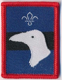 Patrol Badge Raven