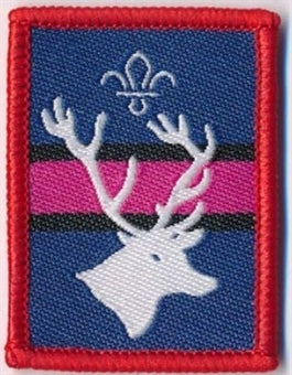 Patrol Badge Stag