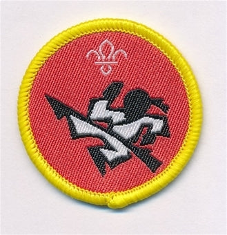 Cub Scout Martial Arts Activity Badge